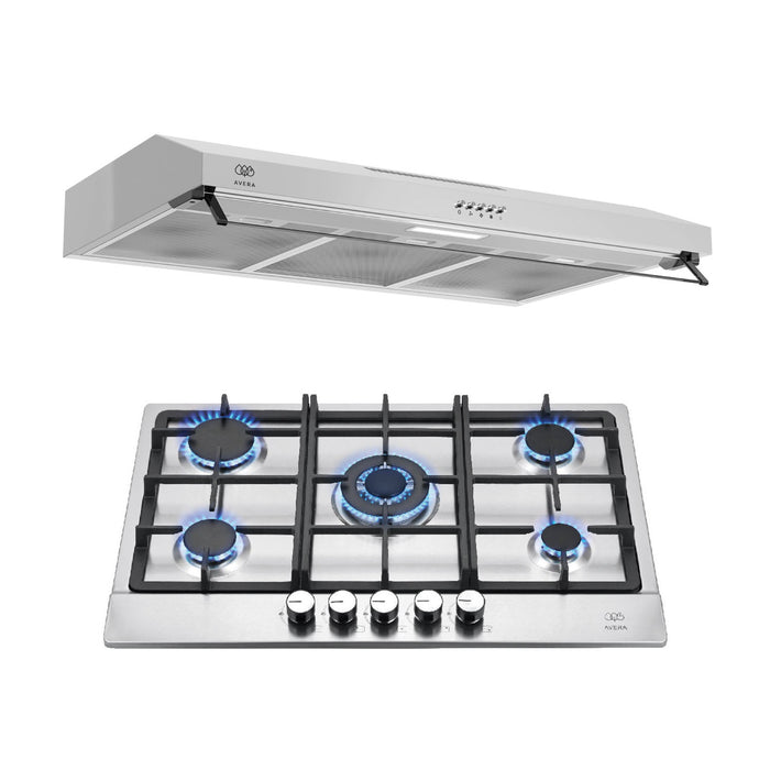 Combo Parrilla de gas 5 quemadores 76 cm + Campana de pared 80 cm