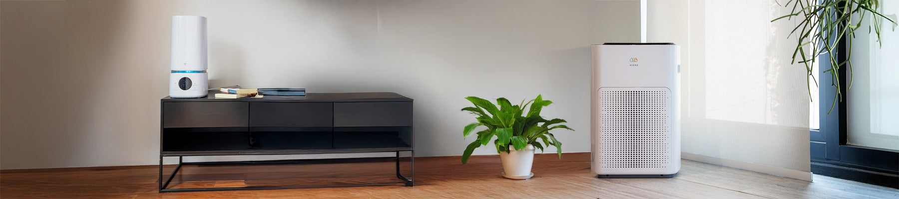 Purificadores y Humidificadores: Aire fresco y limpio en casa