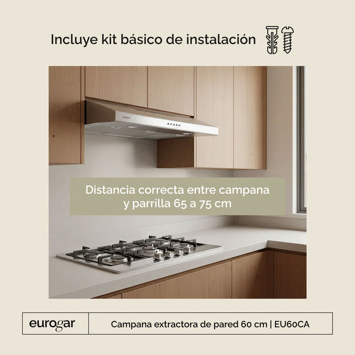 Campana de cocina de pared 60 cm, 250 m³/h de extracción, acero inoxidable
