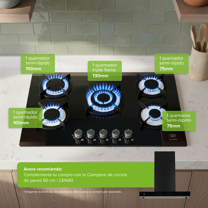 Parrilla de gas 5 quemadores 77 cm en vidrio templado con soporte circular y quemador central - negro