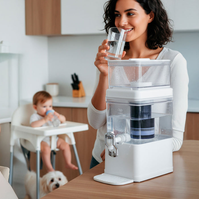 Cartucho de repuesto para filtro de agua 5 L