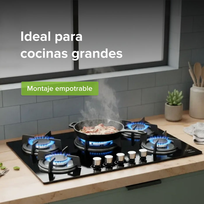 Combo Parrilla de gas 5 quemadores vidrio templado 77 cm + Horno gas LP 58 L