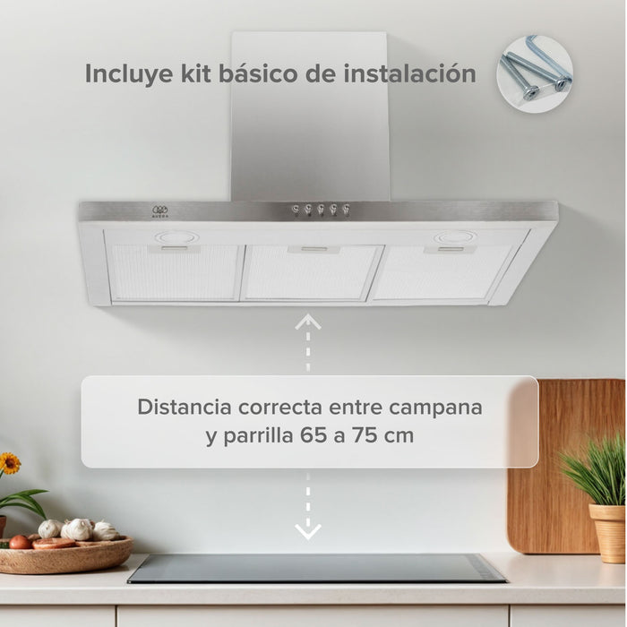 Campana de cocina de pared 76 cm en acero inoxidable