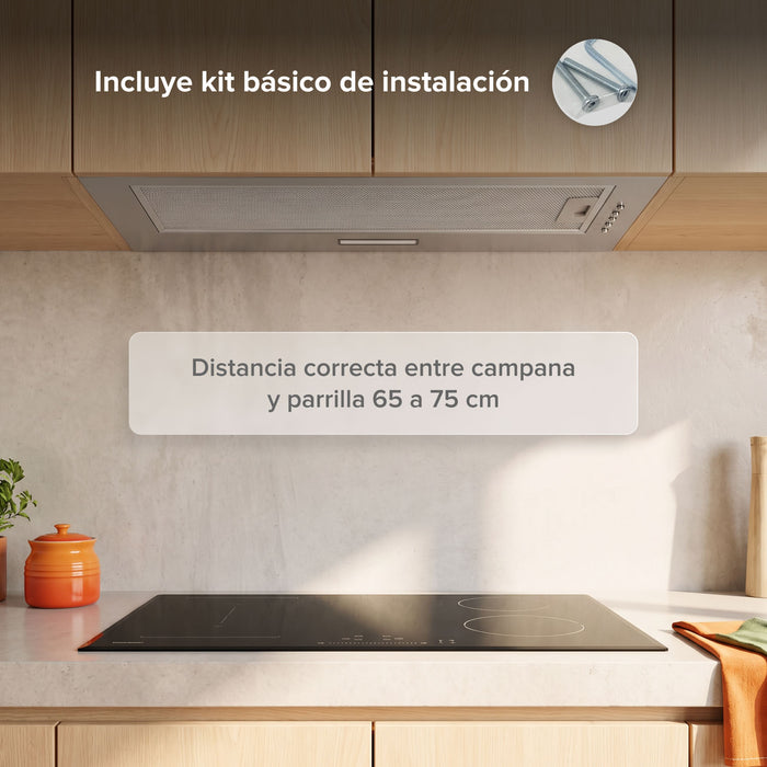 Campana de cocina empotrable oculta 60 cm, 270 m³/h de extracción, acero inoxidable