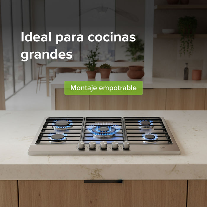 Parrilla de gas 5 quemadores 76 cm en acero inoxidable y quemador central