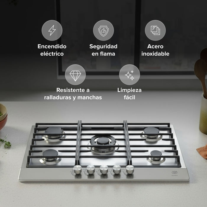 Parrilla de gas 5 quemadores 76 cm en acero inoxidable y quemador central