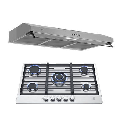 Combo Parrilla de gas 5 quemadores acero inoxidable 76 cm + Campana de pared 80 cm