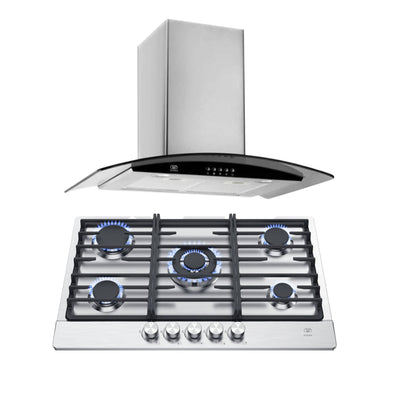 Combo Parrilla de gas 5 quemadores acero inoxidable 76 cm + Campana de pared curva 76 cm