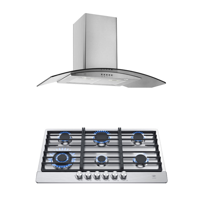 Combo Parrilla de gas 6 quemadores acero inoxidable 86 cm + Campana de pared curva 90 cm