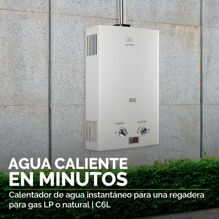 Calentador de agua instantáneo para gas natural 6 L