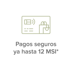 Icono 2