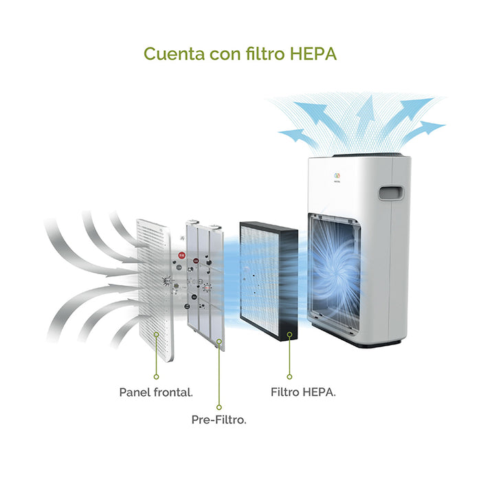 Etapas de filtrado del purificador de aire: panel frontal, pre-filtro, filtro HEPA.